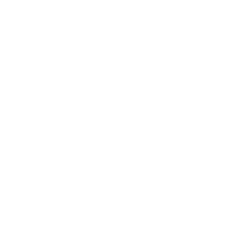 twitter Icon